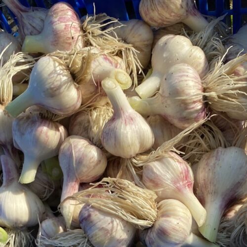 Luomulaatuista valkosipulia (100g)